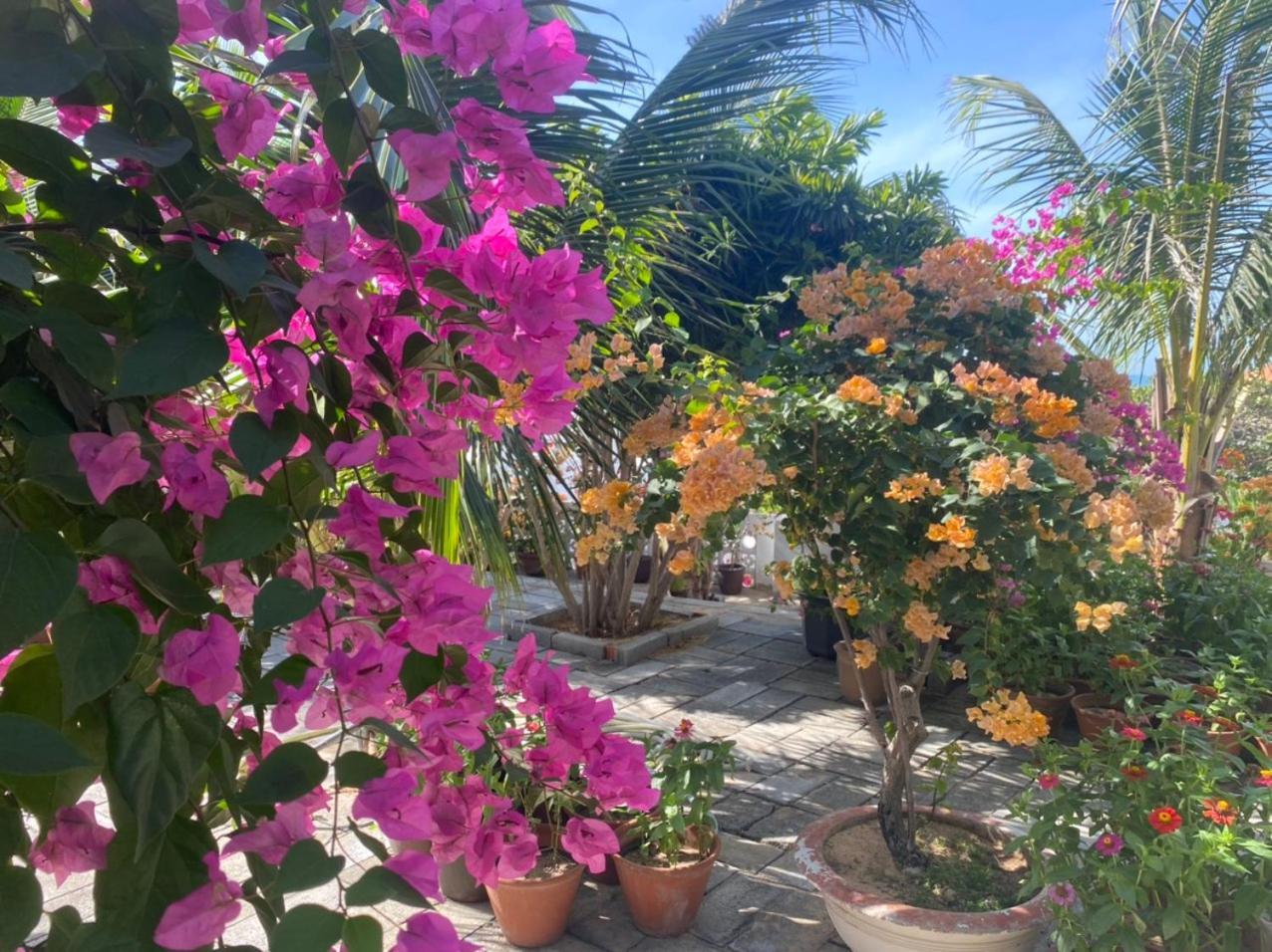 Windy Hills Hotel موي ني المظهر الخارجي الصورة