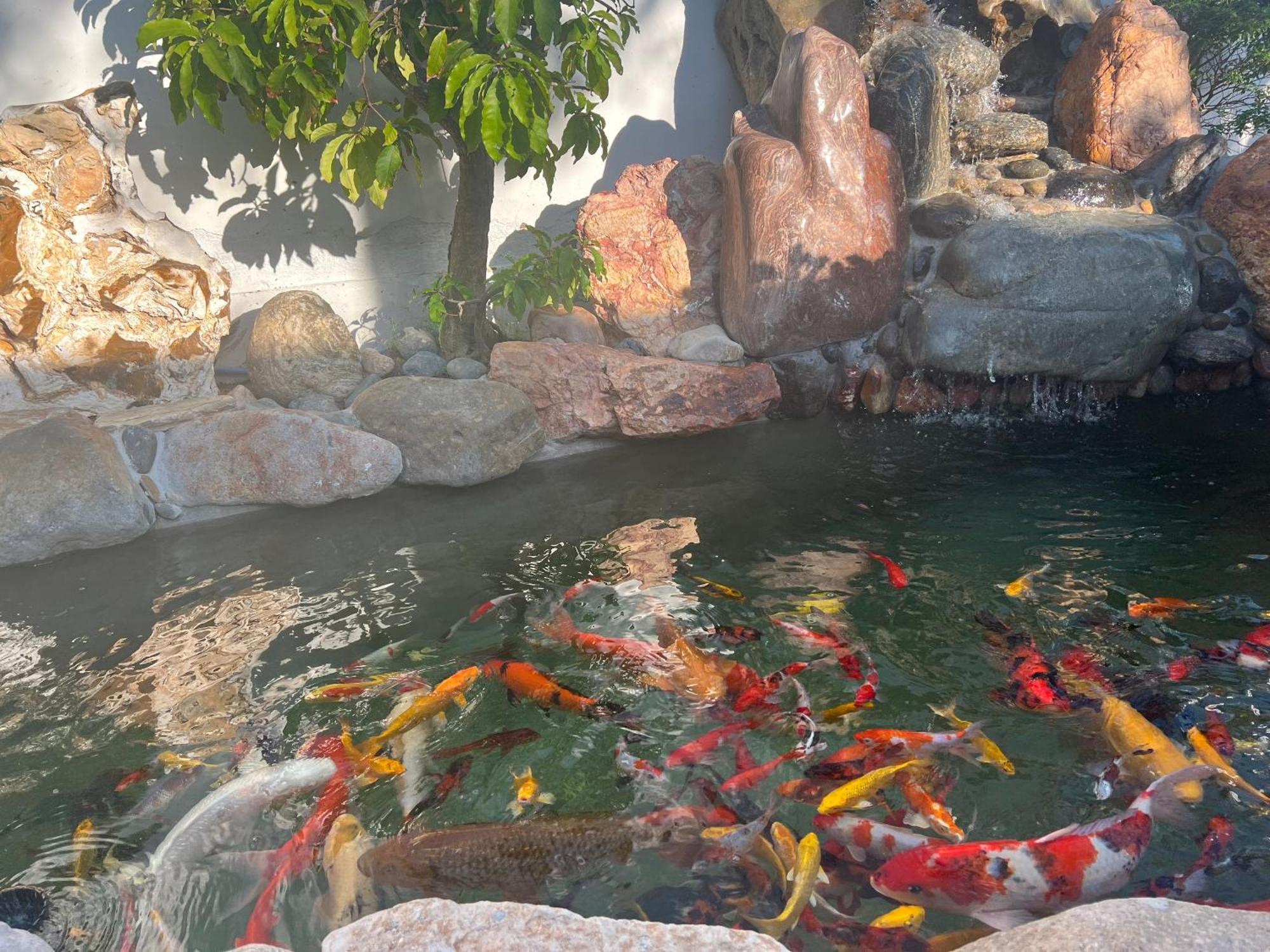 Windy Hills Hotel موي ني المظهر الخارجي الصورة